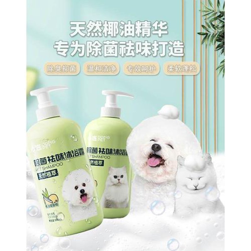 宠物主人的贴心伙伴——广州宠物用品