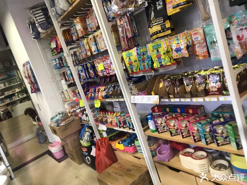 宠物市场的风云变换：宠物用品批发行业的现状与趋势