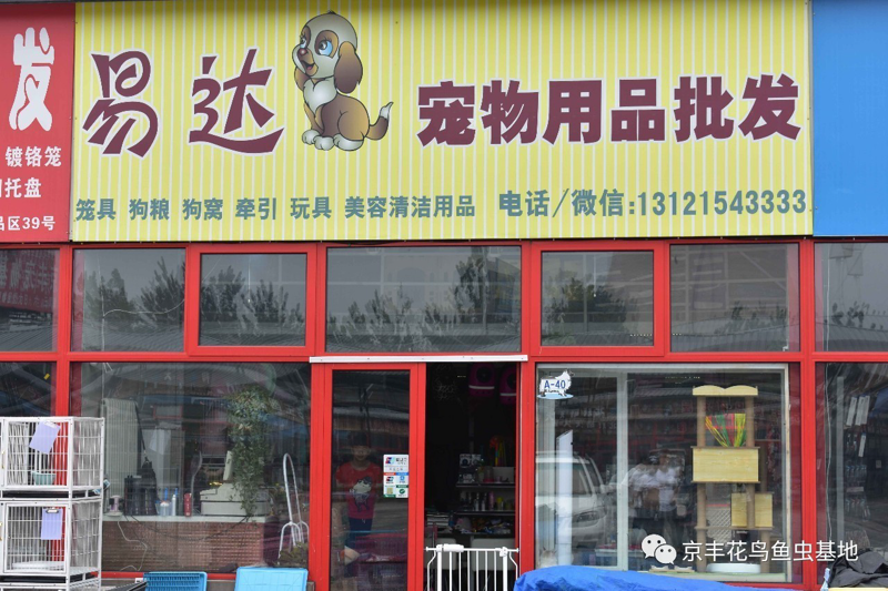 广州宠物用品市场的蓬勃发展