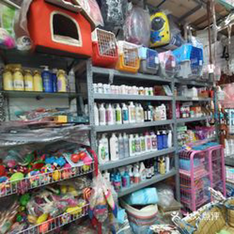 宠物用品批发市场的变化与趋势