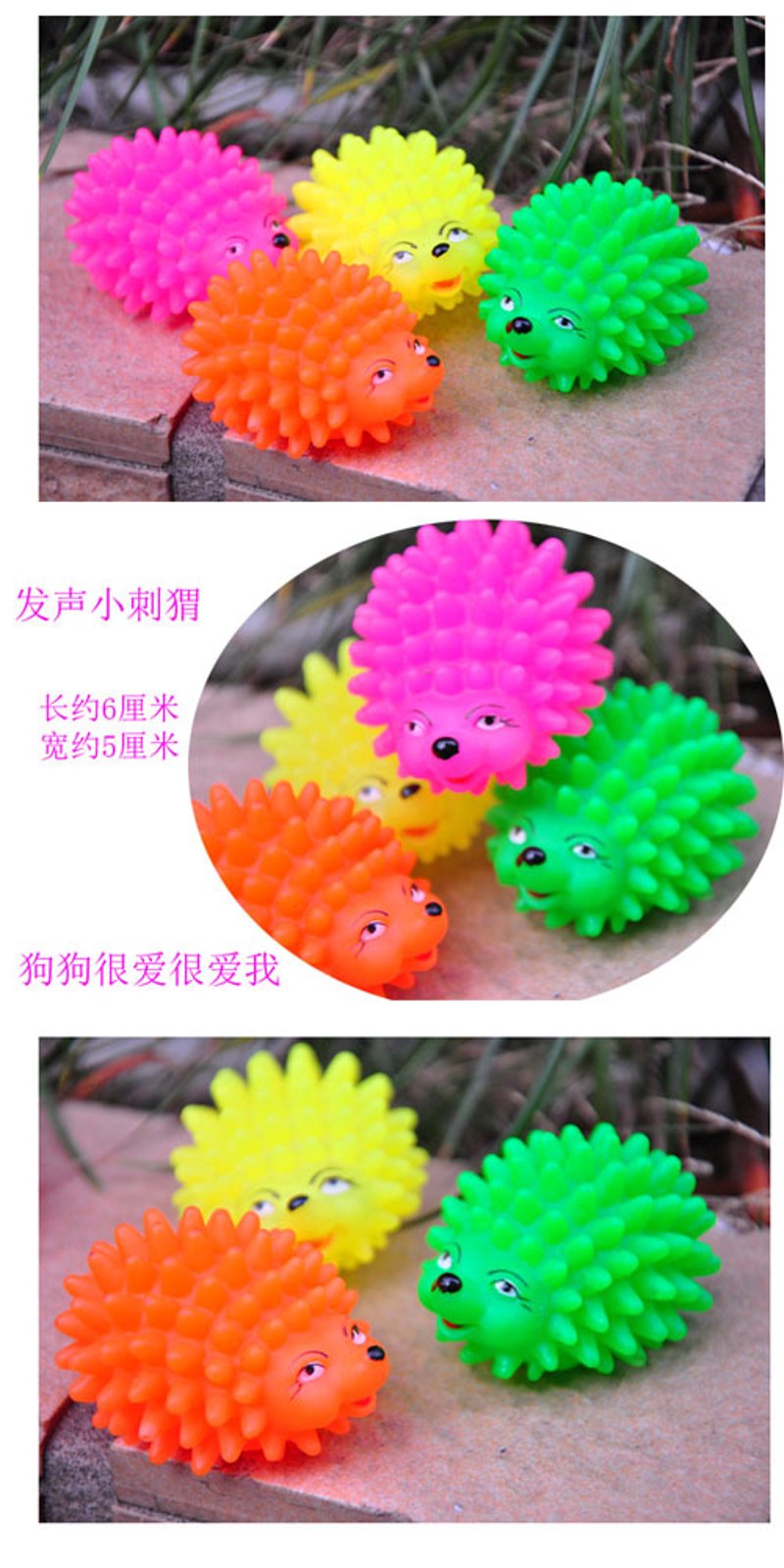宠物用品批发：趋势与挑战